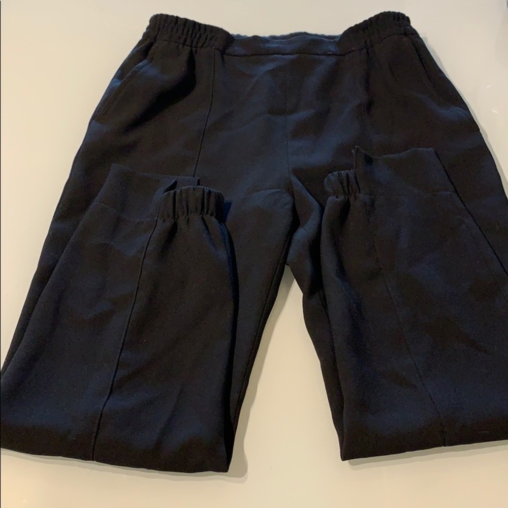 Zara Dress Pants/Joggers